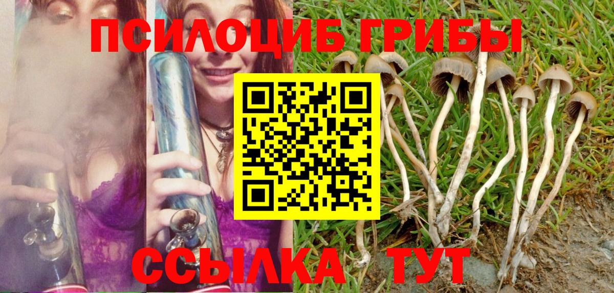 Псилоцибиновые грибы мицелий Краснокаменск