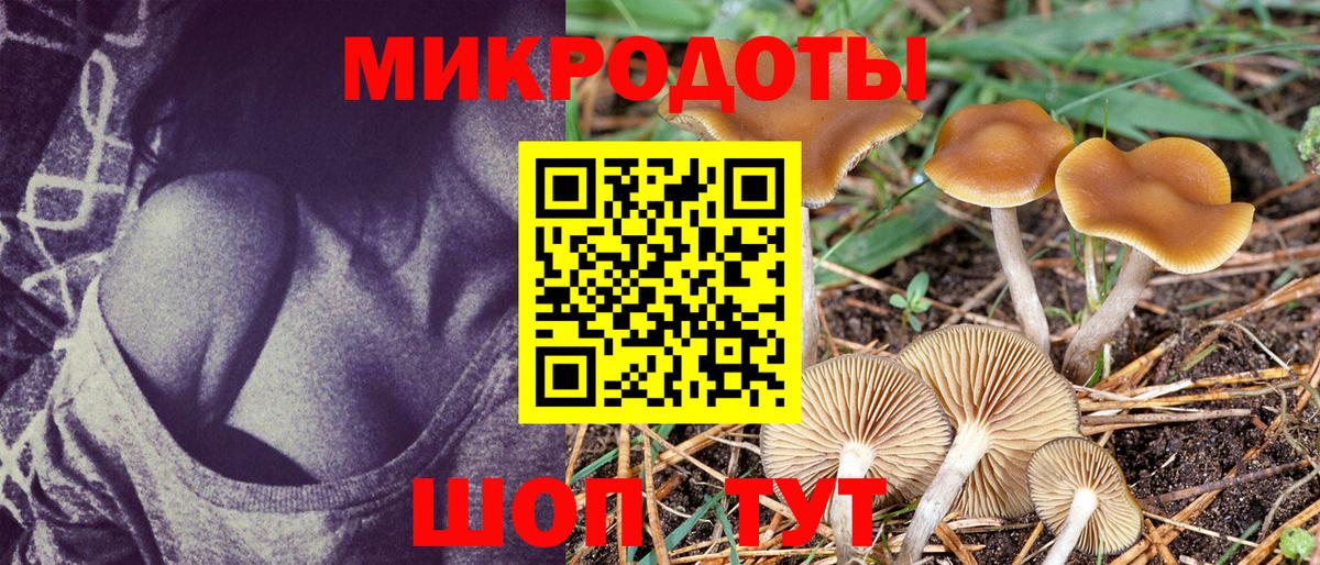 Краснокаменск  Псилоцибиновые грибы Psilocybine cubensis  Вход с VPN 